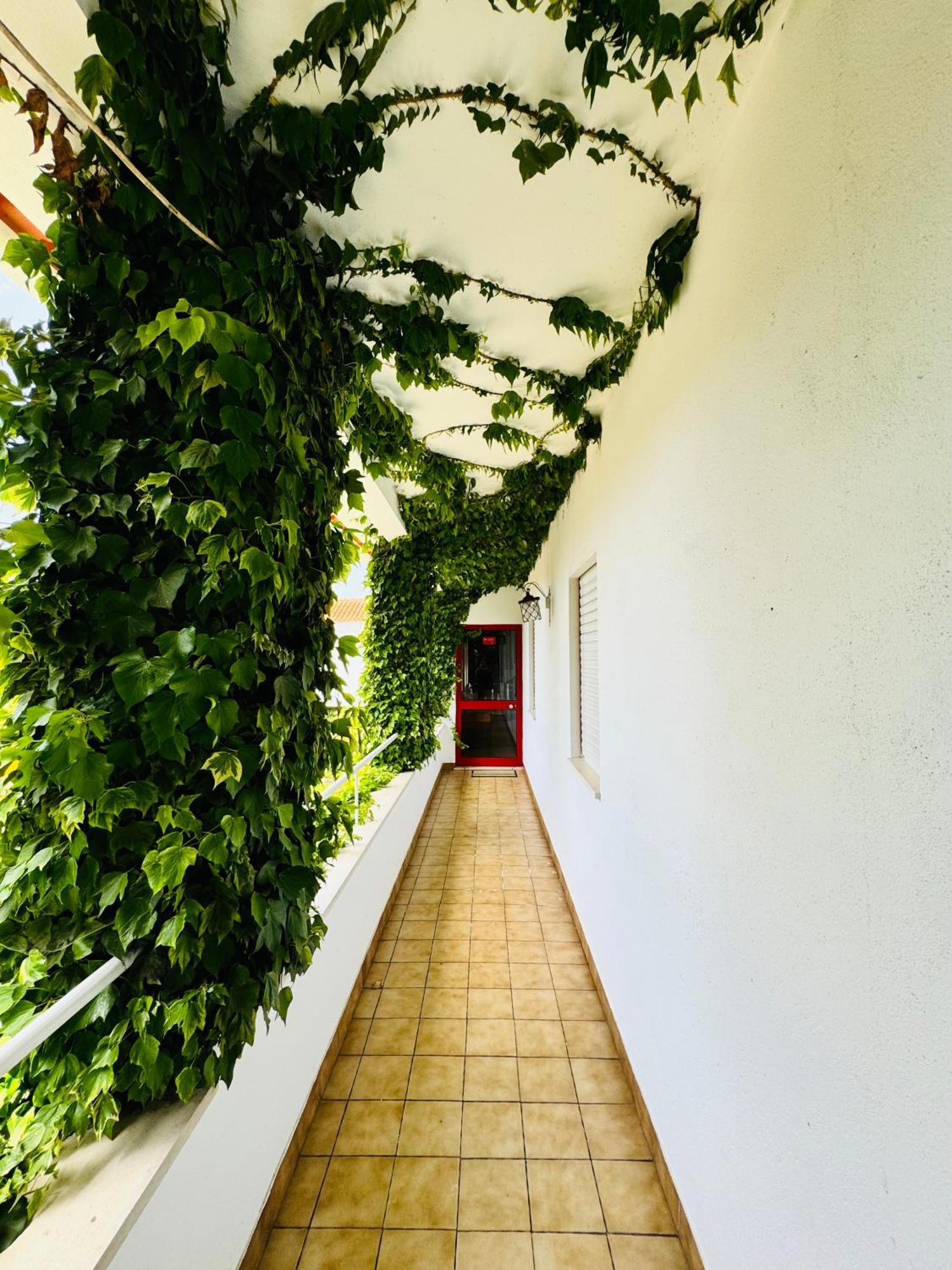 Nature & Beach Guest Rooms, Aldeamento Turistico Do Camarido Cristelo  ภายนอก รูปภาพ